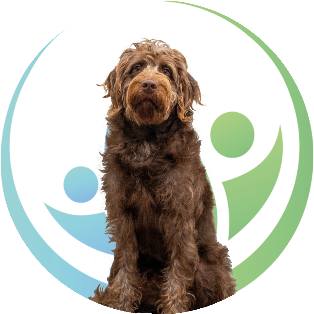 Aktiv-Gesundheit-Keks